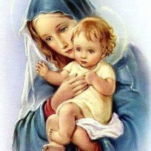 Meet your Posher, Äreli